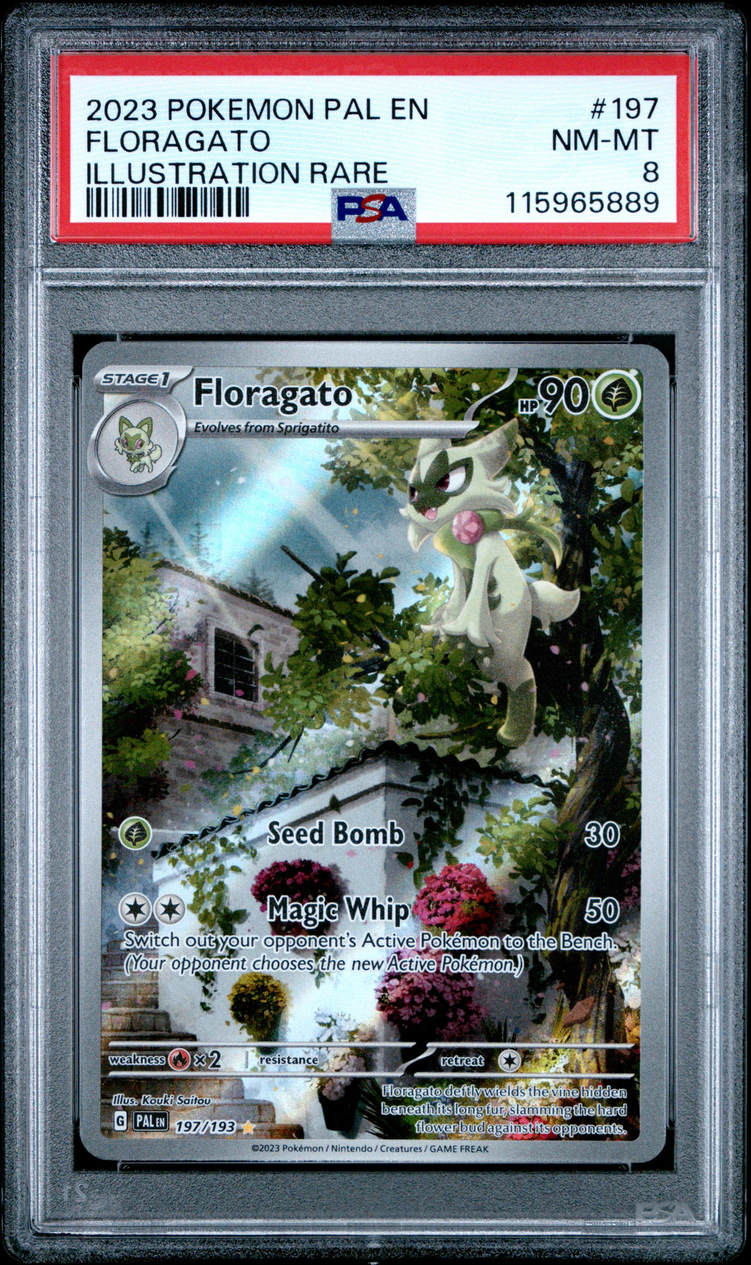 Pokemon 2023 PAL Paldea Evolved Floragato 197/193 IR PSA 8