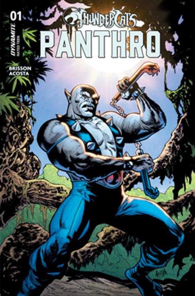 Thundercats Panthro #1 Cvr A Dave Acosta