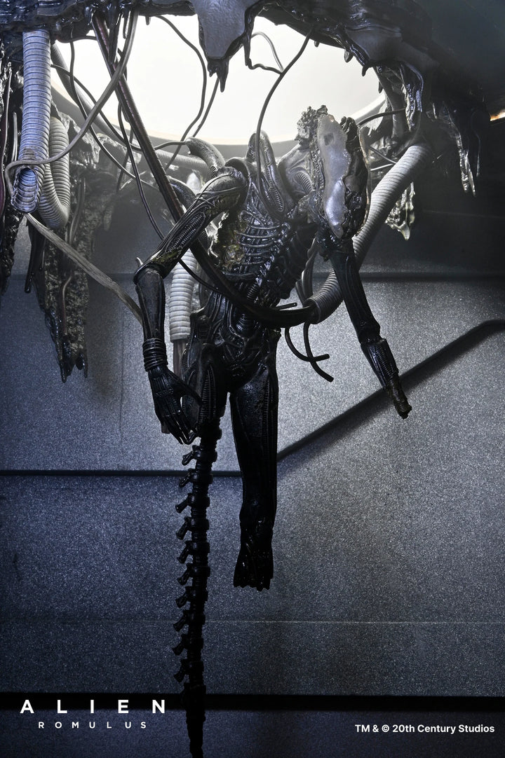 Alien: Romulus - 7in Scale Action Figure - Deluxe Suspended Lab Xenomorph XX121