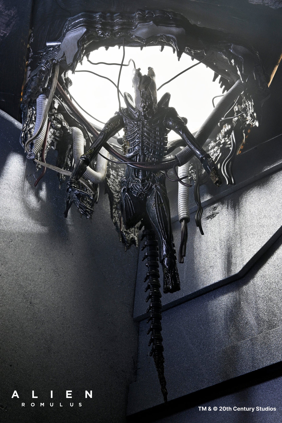 Alien: Romulus - 7in Scale Action Figure - Deluxe Suspended Lab Xenomorph XX121