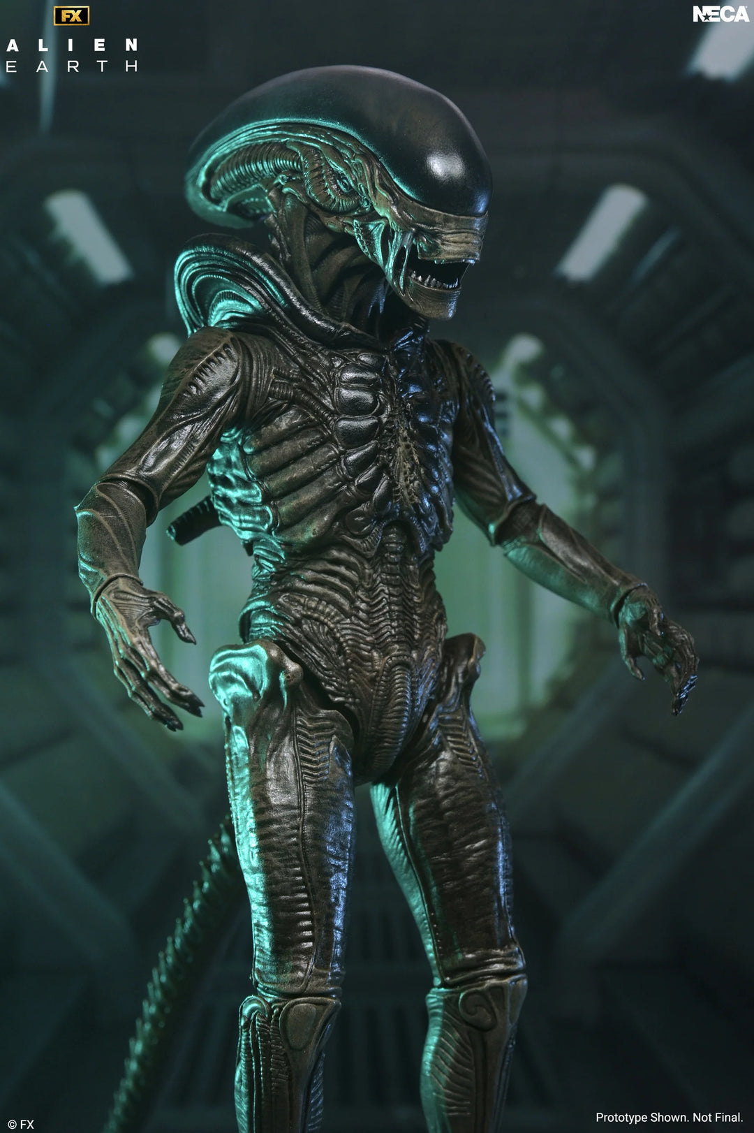 Alien: Earth - Ultimate Xenomorph 7" Scale Action Figure