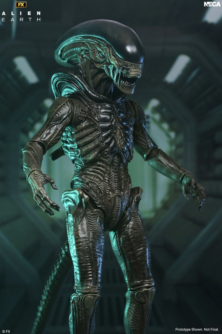 Alien: Earth - Ultimate Xenomorph 7" Scale Action Figure