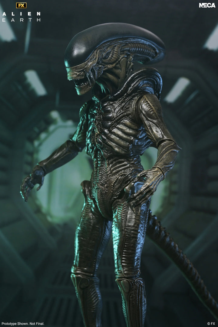 Alien: Earth - Ultimate Xenomorph 7" Scale Action Figure