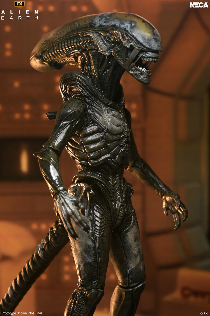 Alien: Earth - Ultimate Wendy's Xenomorph 7" Scale Action Figure