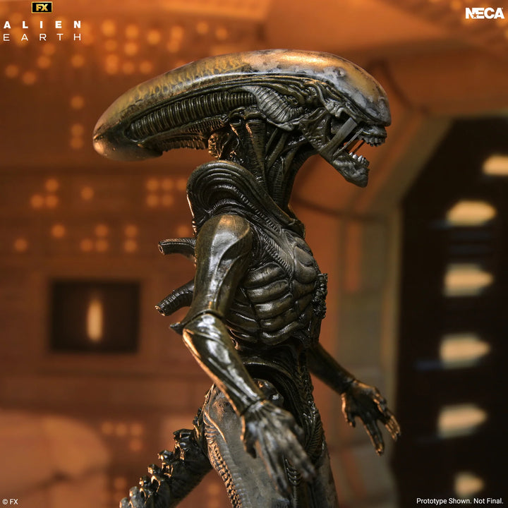Alien: Earth - Ultimate Wendy's Xenomorph 7" Scale Action Figure