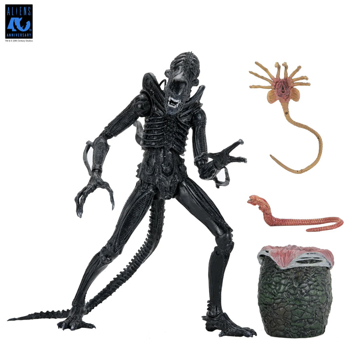 Aliens - 40th Anniversary Ultimate Xenomorph Warrior 7" Scale Action Figure