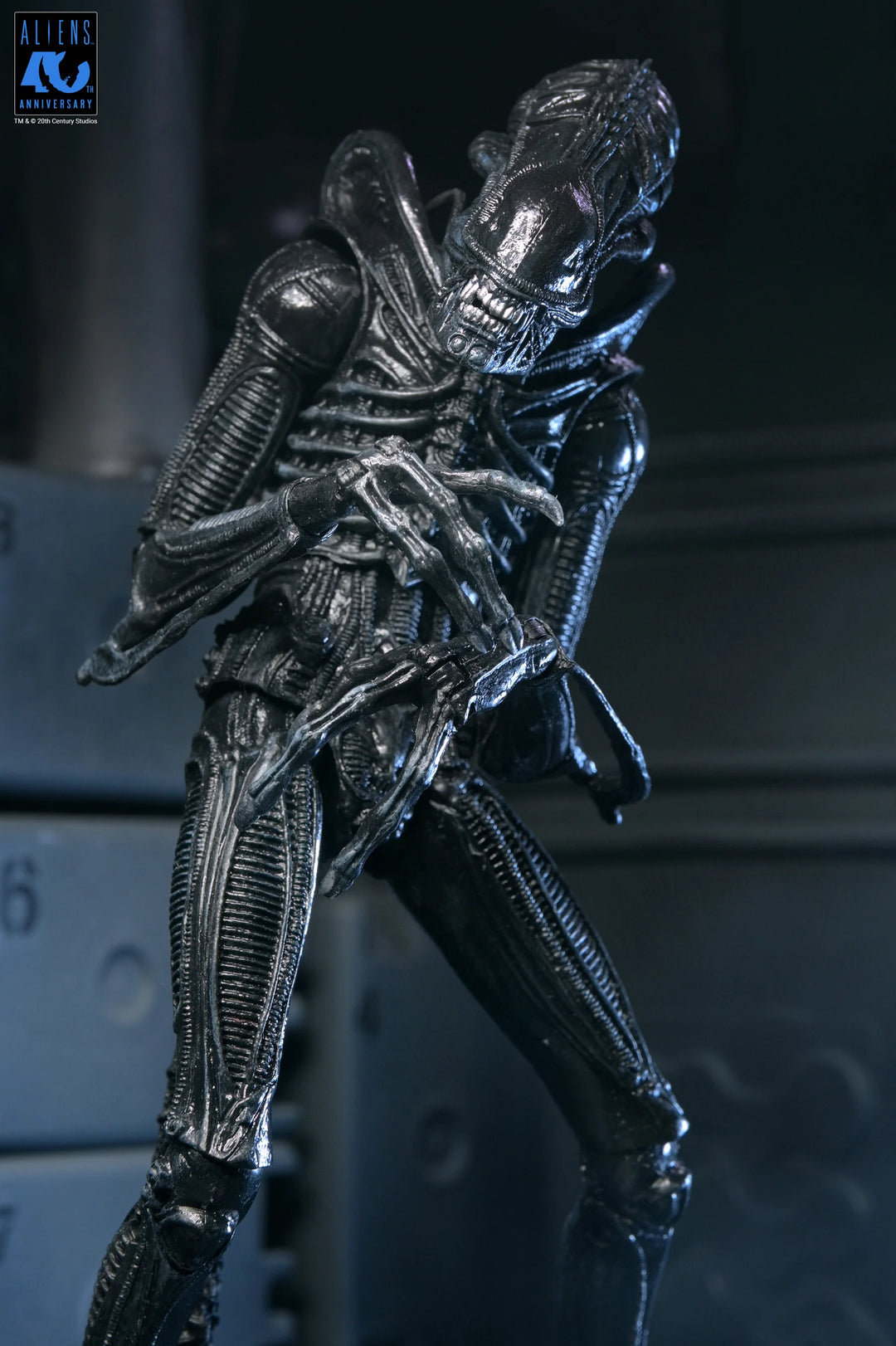 Aliens - 40th Anniversary Ultimate Xenomorph Warrior 7" Scale Action Figure