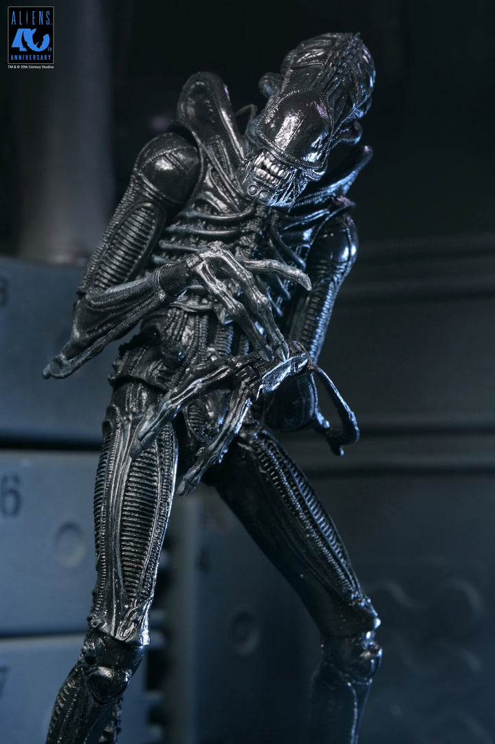 Aliens - 40th Anniversary Ultimate Xenomorph Warrior 7" Scale Action Figure