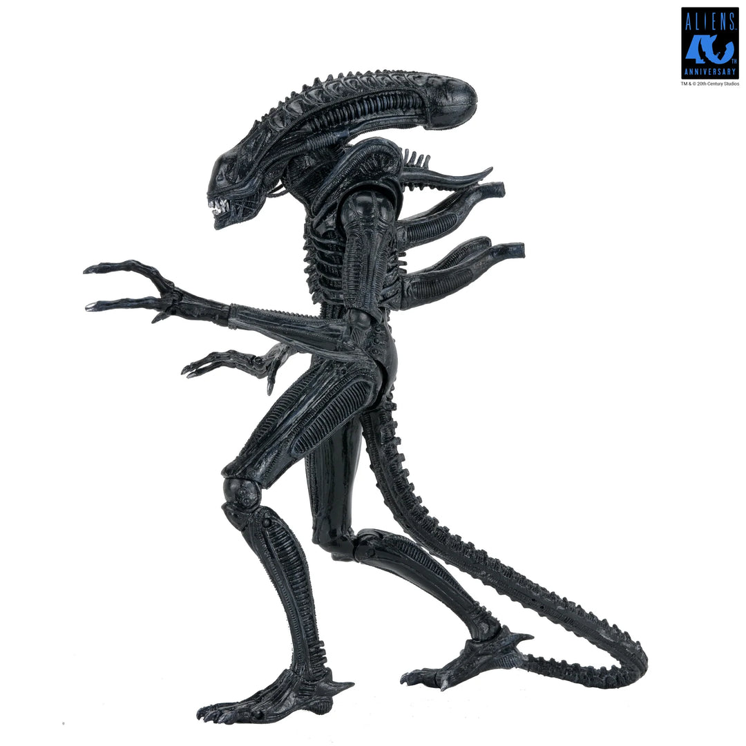 Aliens - 40th Anniversary Ultimate Xenomorph Warrior 7" Scale Action Figure