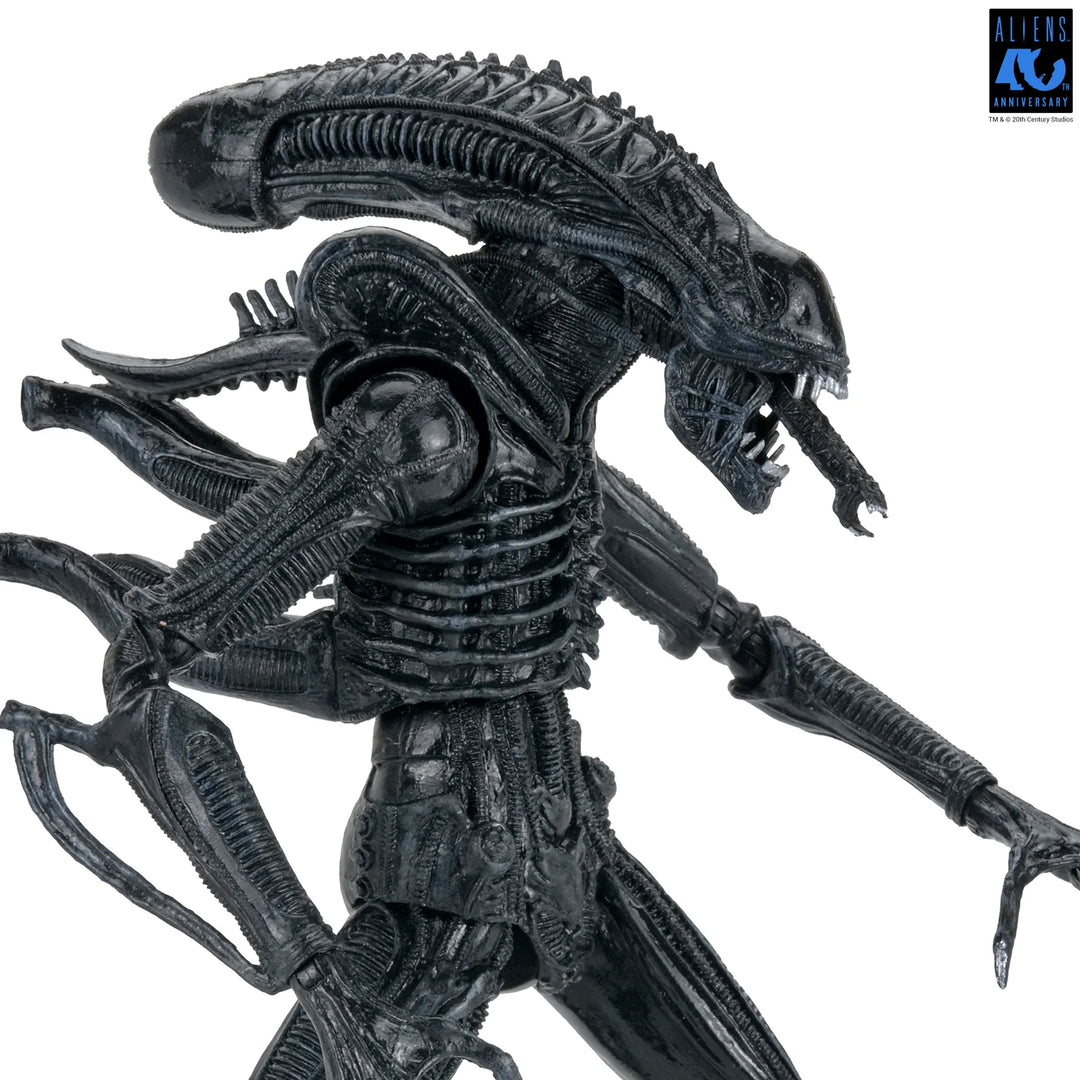 Aliens - 40th Anniversary Ultimate Xenomorph Warrior 7" Scale Action Figure
