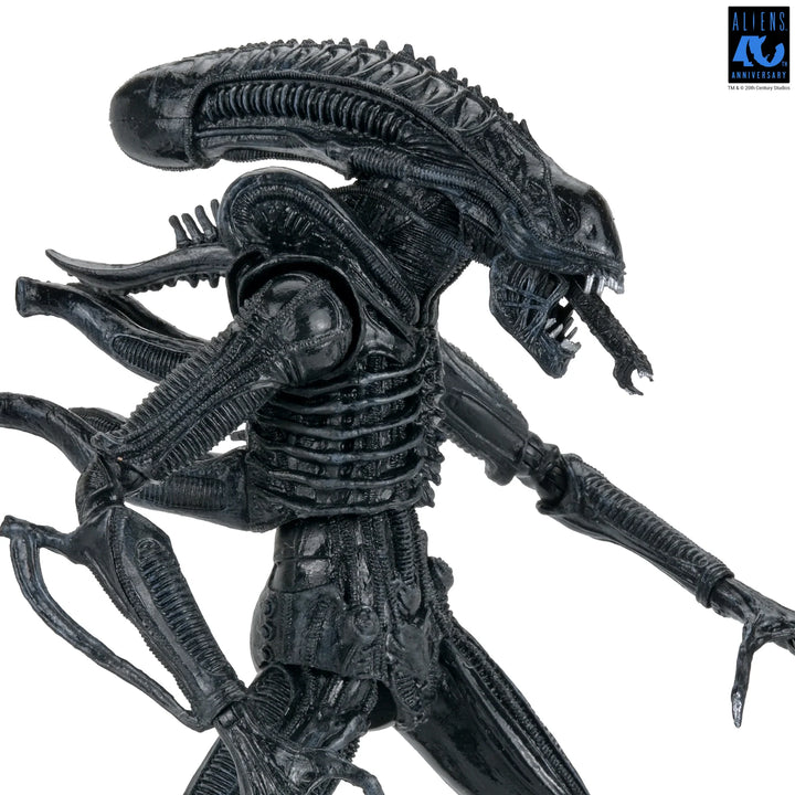 Aliens - 40th Anniversary Ultimate Xenomorph Warrior 7" Scale Action Figure