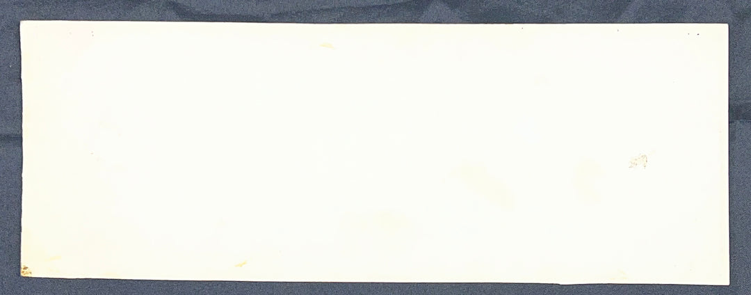 Batman by Bob Kane/Joe Giella Strip (3/1/1967)