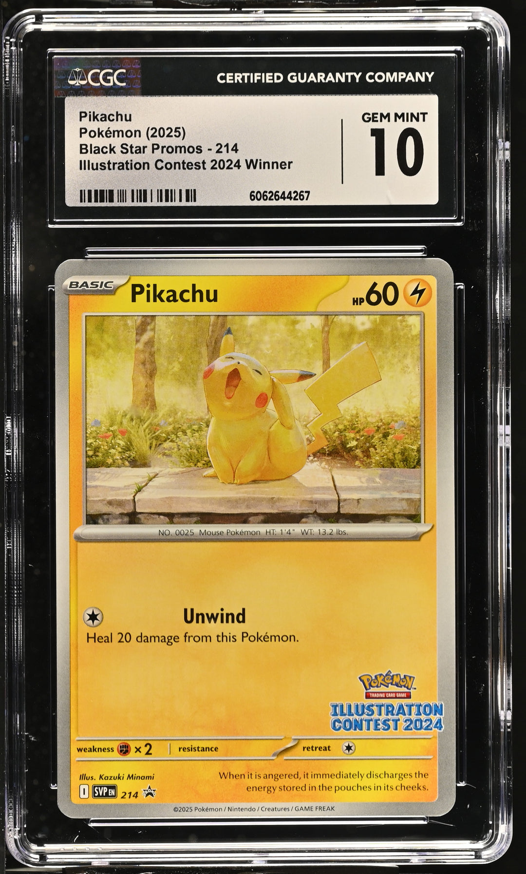 Pokemon 2025 Black Star Promos Pikachu Illustration Contest 2024 Winner 214 CGC 10