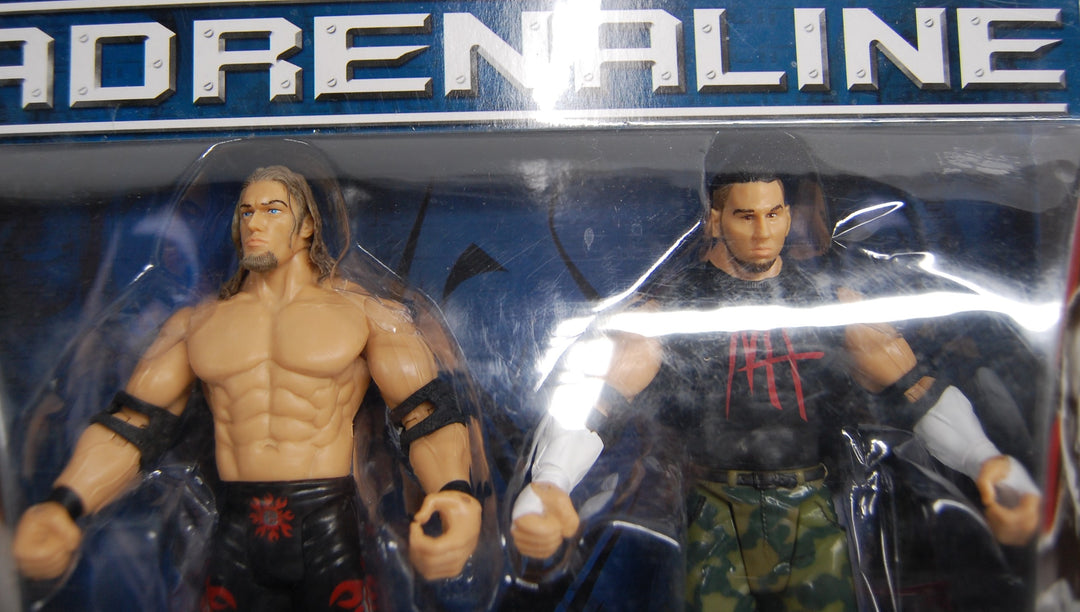 WWE Adrenaline Series 17 - Edge & Matt Hardy 2-Pack Figures 2016 Jakks