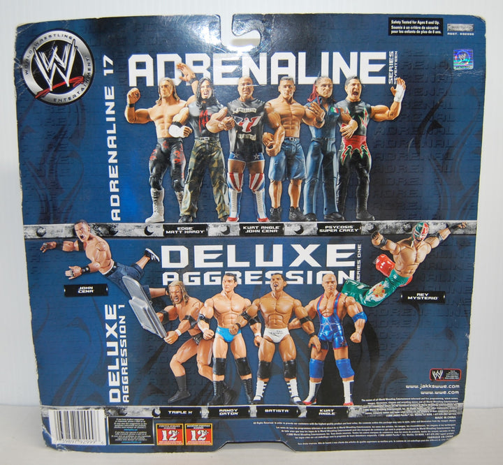 WWE Adrenaline Series 17 - Edge & Matt Hardy 2-Pack Figures 2016 Jakks