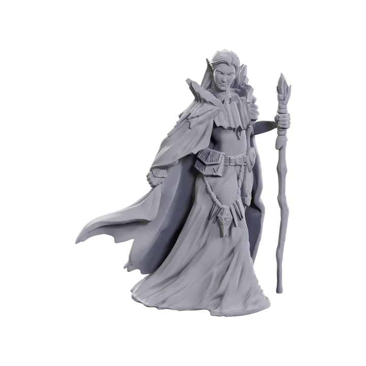 D&D Nolzur's Marvelous Miniatures: Limited Edition 50th Anniversary - Elves