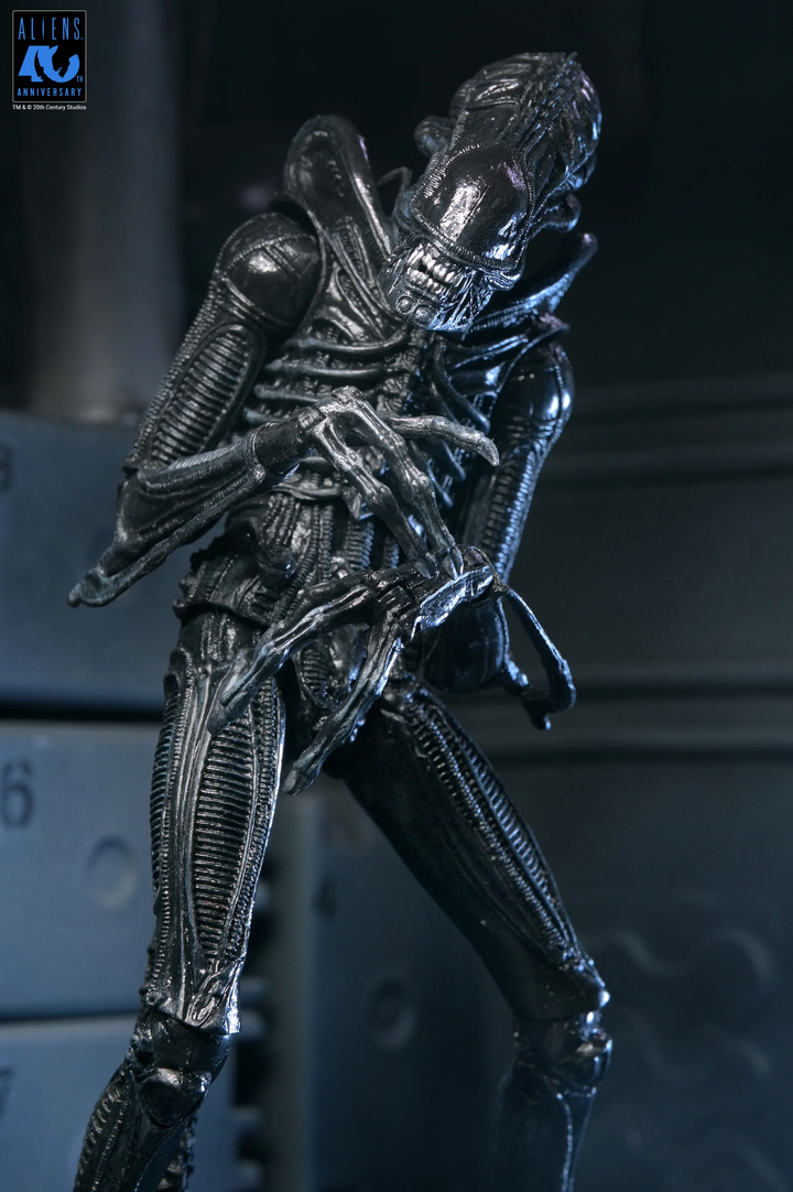 Aliens - 40th Anniversary Ultimate Xenomorph Warrior 7" Scale Action Figure
