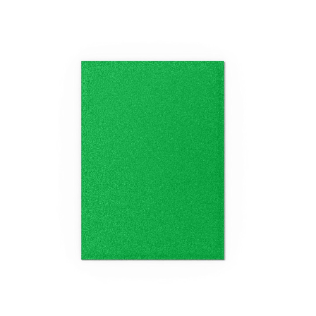 Dragon Shield Card Sleeves - Dual Matte: Apple Green & Silver (100 Ct)