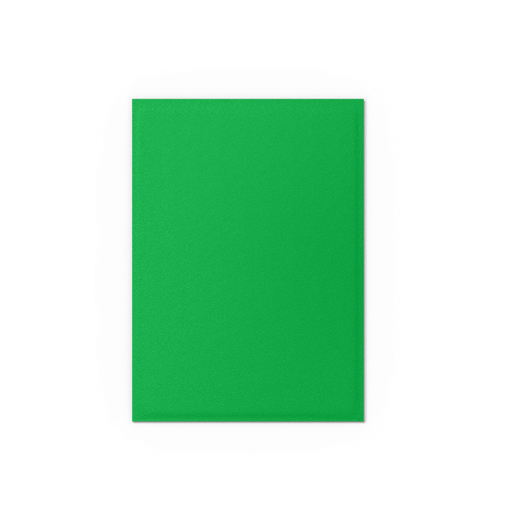 Dragon Shield Card Sleeves - Dual Matte: Apple Green & Silver (100 Ct)