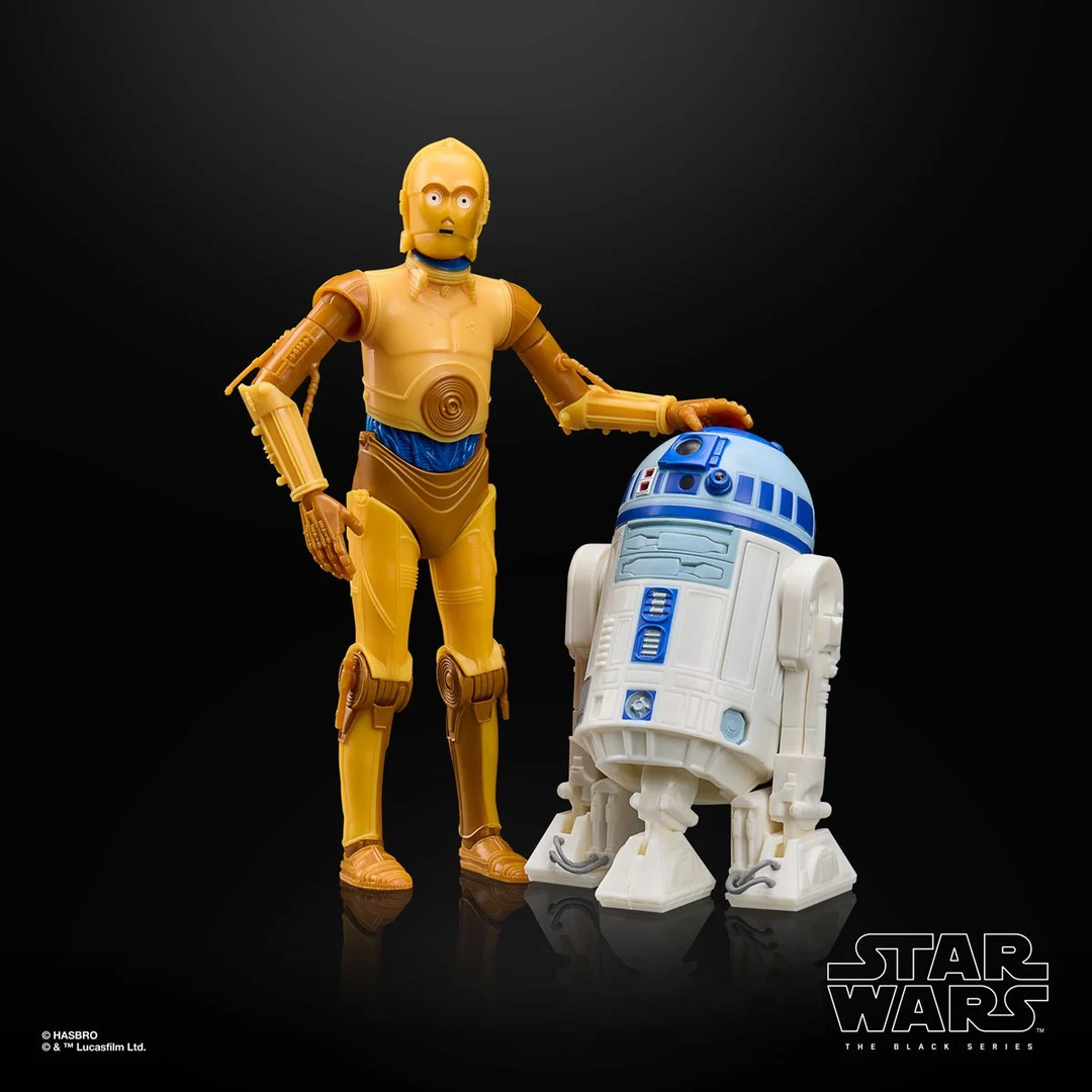 Star Wars The Black Series Droids Artoo-Detoo (R2-D2) & See-Threepio (C-3PO) 6-Inch Action Figures Set