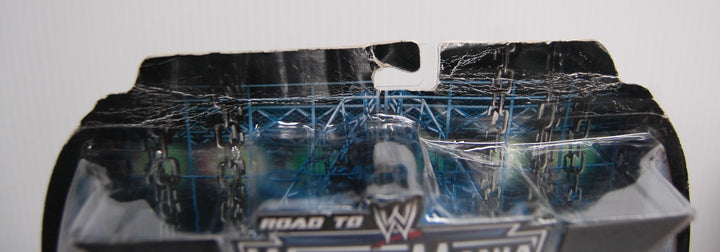 WWE Road to Wrestlemania 22 Series 1 - Edge & Matt Hardy 2-Pack 7" Figures 2005