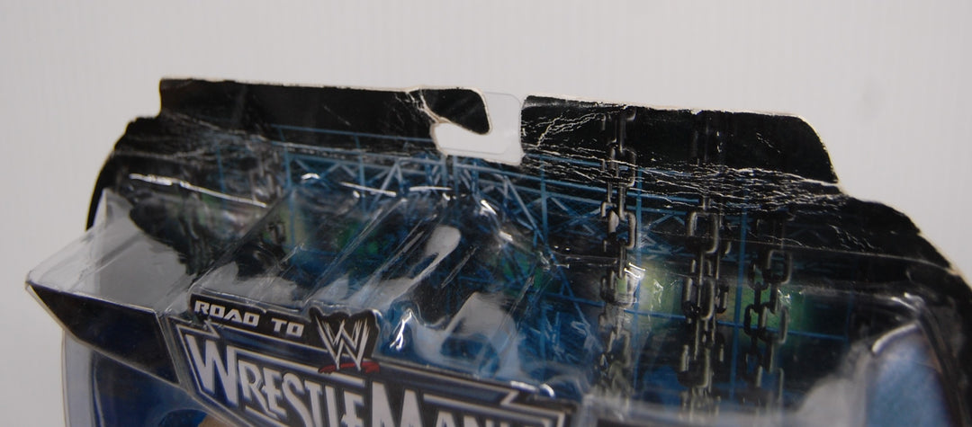 WWE Road to Wrestlemania 22 Series 1 - Edge & Matt Hardy 2-Pack 7" Figures 2005