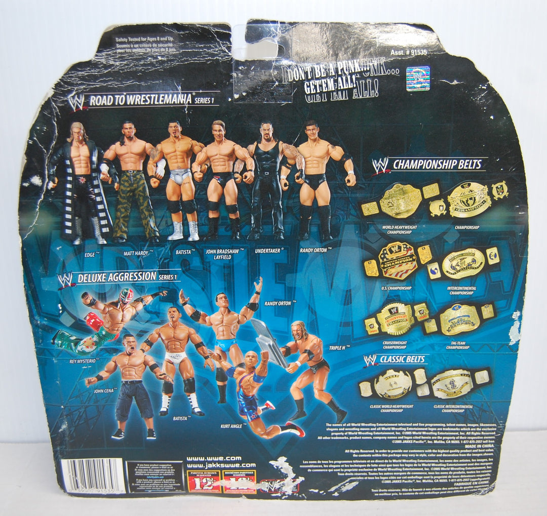 WWE Road to Wrestlemania 22 Series 1 - Edge & Matt Hardy 2-Pack 7" Figures 2005