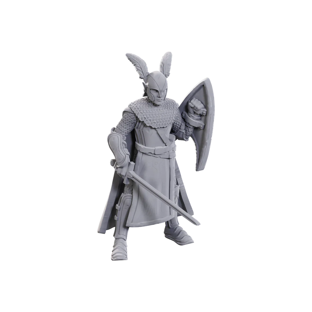 D&D Nolzur's Marvelous Miniatures: Limited Edition 50th Anniversary - Elves