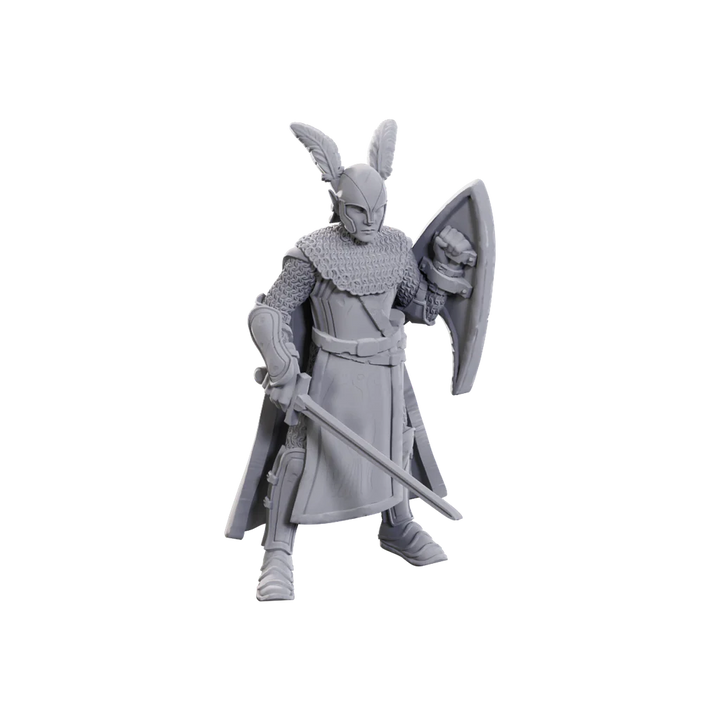 D&D Nolzur's Marvelous Miniatures: Limited Edition 50th Anniversary - Elves