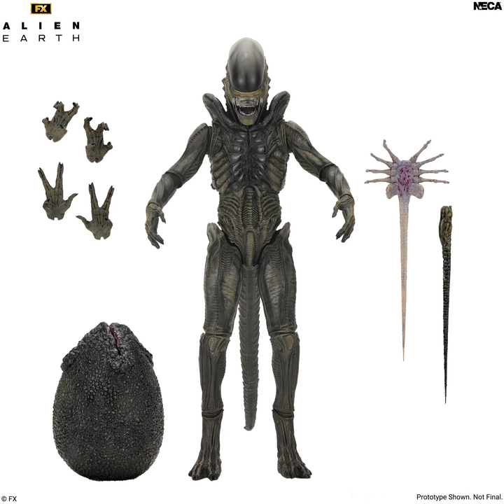 Alien: Earth - Ultimate Xenomorph 7" Scale Action Figure