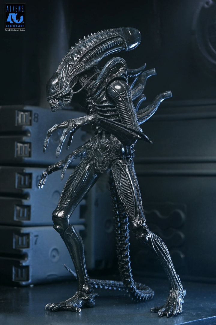 Aliens - 40th Anniversary Ultimate Xenomorph Warrior 7" Scale Action Figure