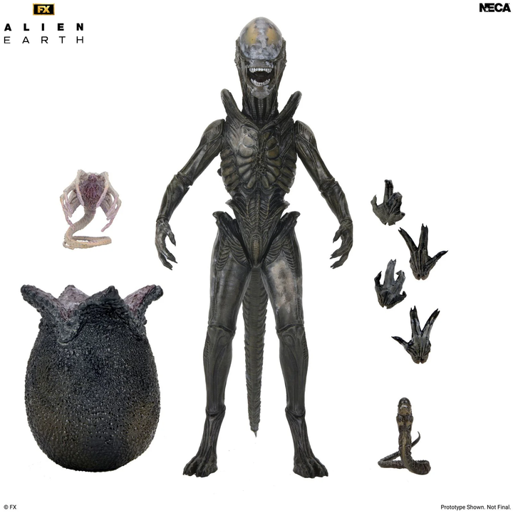 Alien: Earth - Ultimate Wendy's Xenomorph 7" Scale Action Figure