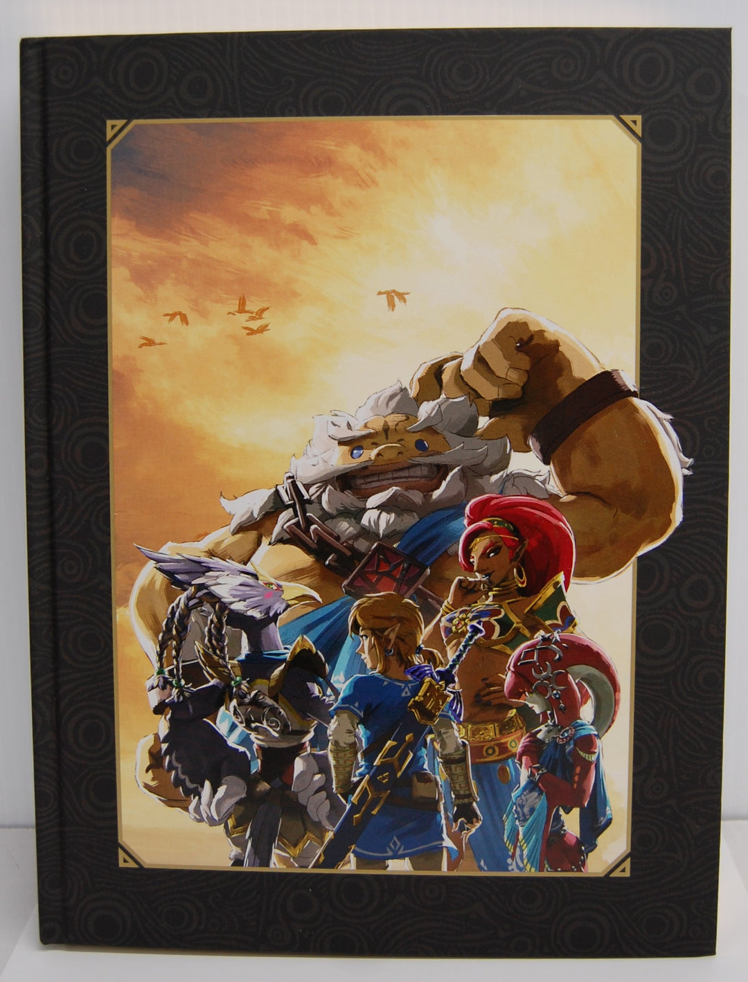 Legend of Zelda: Breath of the Wild Creating a Champion - Champion's Edition Art Book 2018